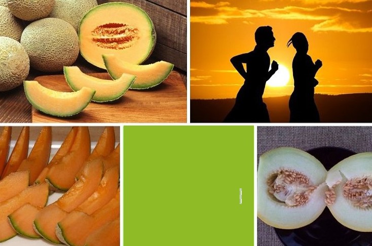 Cantaloupe Diet Benefits