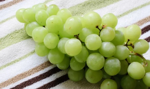 How Cotton Candy Grapes May Support Weight Loss