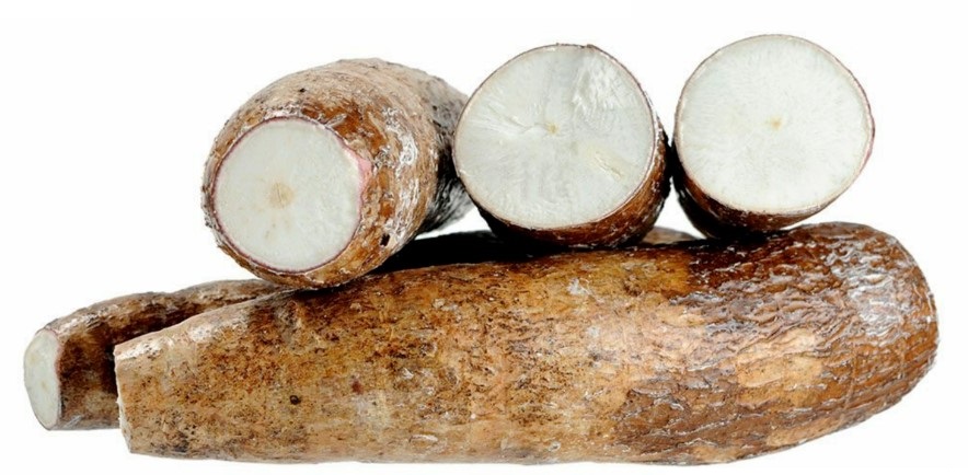 Is Yucca Good For Weight Loss